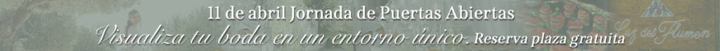 FICA-LUZ-DEL-FLUMEN-BANNER-WEB-PUERTAS-ABIERTAS