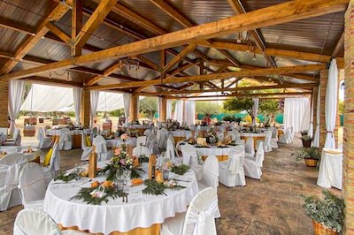 banquete-entre-olivos-centenarios